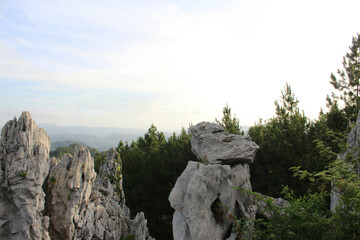 beautiful coral stone on hill, in tropical forest, amazing landscape nature background