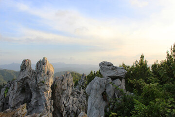 beautiful coral stone on hill, in tropical forest, amazing landscape nature background