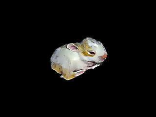 Beautiful illustration of rabbit isolated on plain black background
