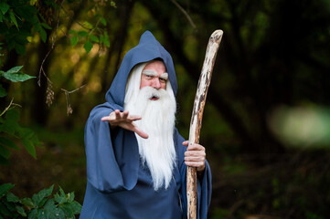 A wizard with a long gray beard casts a spell in a dense forest