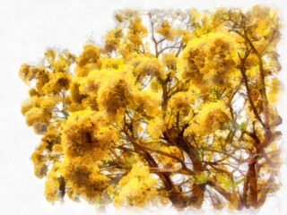 Tree full of yellow flowers watercolor style illustration impressionist painting.