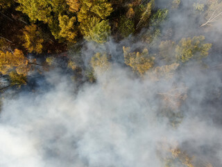 forest fire in autumn deciduous forest, top view, flat lay, scorched earth, smoke, natural disaster screensaver, aerial