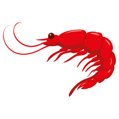 Shrimp, natural healthy organic nutrition product, prawn. Vector doodle cartoon flat trendy illustration hand drawn isolated