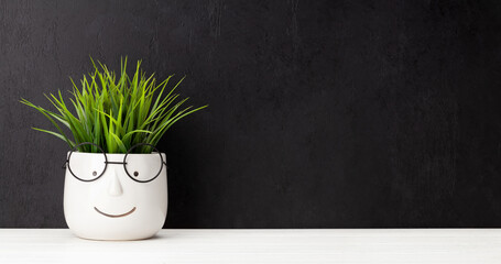 Plant with glasses