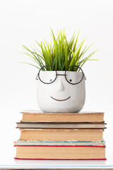 Table with books and plant with glasses