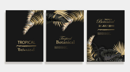 Vector arrangement with black and gold tropical leaves on dark background. Luxury exotic botanical design for cosmetics, spa, perfume, aroma, beauty salon.