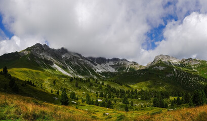 Obraz premium mountain landscape with a green valley with dense fog on the mountain top panorama