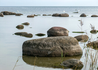 The unusual landscape of Kaltene beach, formed by large boulders covering the coast, morning hour, Kaltene rocky seashore, Latvia