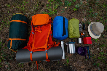 Hiking equipment. View from above. Pine forest