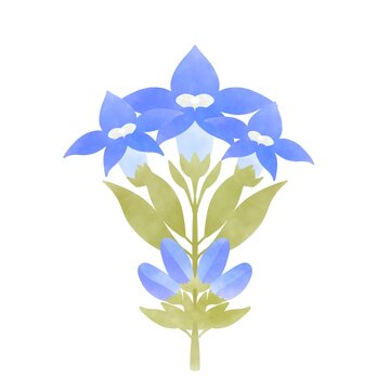 りんどう Images Browse 632 Stock Photos Vectors And Video Adobe Stock