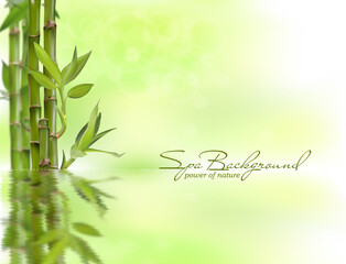 Background of natural spa with plant and reflection in the water. Realistic vector, 3d illustration