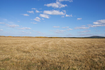 Obraz premium Поселок Висим, Свердловская область, Урал, октябрьское поле, осень. 