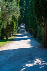 Lake Garda and the beauty of Punta San Vigilio.