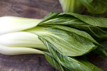 Bok choy, Chinese cabbage with round, round and open leaves. Vegetable of Asian origin
