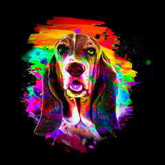 dog head with creative colorful abstract elements on white background