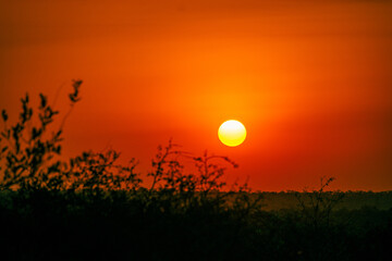 Fototapeta premium sunset over the field