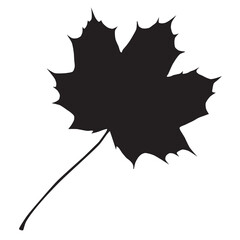 Illustration silhouette  of maple leaf