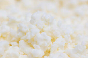 Fresh milk curd as background.