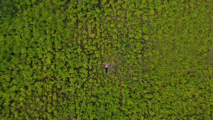 Portrait of an attractive stylish girl lying on the grass with a bike and looking up. A fashionable woman, dressed in a sports uniform, lies on a bicycle on the grass. Aerial photography. View from ab