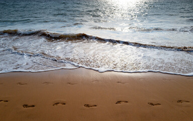 Footprints on sand beach at summer morning.