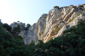 Schlucht in den Dentelles de Montmirail