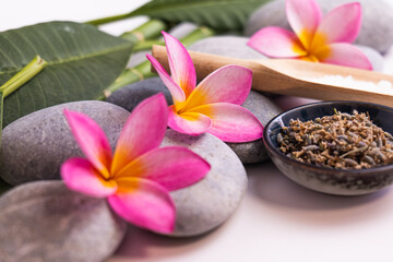 Fototapeta na wymiar frangipani flowers as a spa concept with zen stones and small bowls