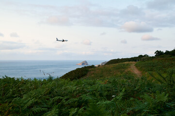 Fototapeta na wymiar plane about to land in a maritime landscape with a foreground full of green ferns