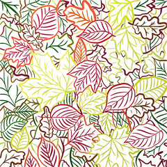 Fototapeta na wymiar Colored leaves on a white background