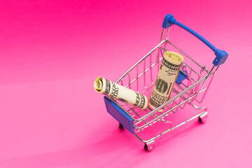 Dollars in the shopping cart on pink background
