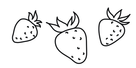 Strawberry, vector illustration. Set of black and white linear strawberries. Line drawing, engraving