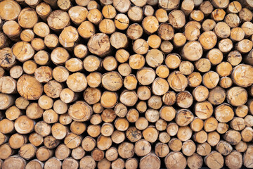 industrial wood yard with stacks of wood. Objects for garden, home construction.