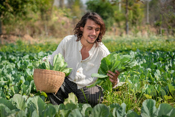 A smiling farmer admires his productive and ready-to-harvest recently planted kale crops and automatic watering system behind him. Labor, hard work, confidence, and rich harvest agriculture concepts