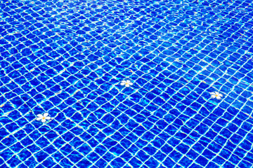 Fototapeta na wymiar Swimming pool blue water surface background, floating plumeria frangipani flowers, summer holidays, vacation, spa relax, beauty therapy, health body care, treatment, luxury tropical resort, copy space