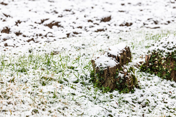 First snow on the hill towns. Between autumn and winter