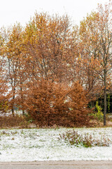 First snow on the hill towns. Between autumn and winter
