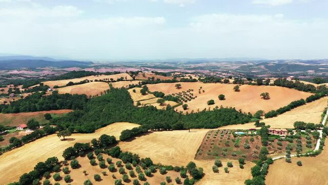 Tuscan countryside shot with drone at summer time. Aerial view of amazing wine fields country in sunny weather, arid fields,green trees,olive trees 