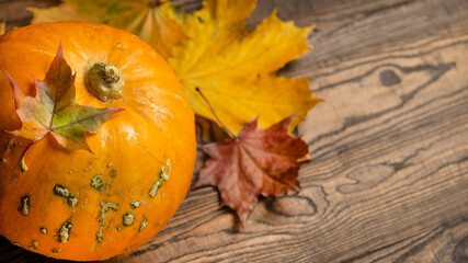 Pumpkin with autumn leaves on wooden background. Copy space