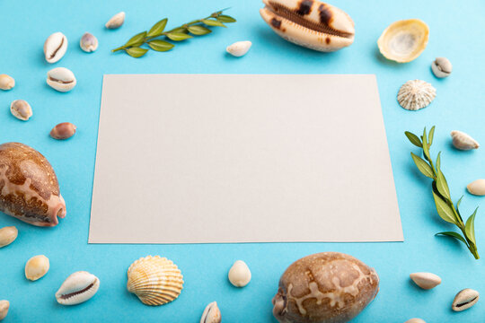 Composition with gray paper sheet, seashells, green boxwood. mockup on blue pastel background. side view, copy space.