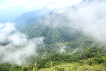 Kothagiri Hills