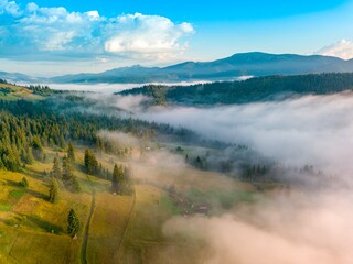 A thin morning fog covers the Ukrainian mountains. Green grass on the slopes of the mountains. A curly thin fog spreads over the mountains. Aerial drone view.