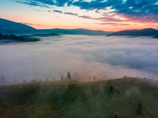 A thin layer of fog floats across the ridge at dawn. Fir trees grow on the slope. Ukrainian Carpathians in the morning. Aerial drone view.