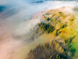 A thin morning fog covers the Ukrainian mountains. Green grass on the slopes of the mountains. A curly thin fog spreads over the mountains. Aerial drone view.