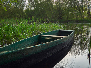 an old wooden boat is moored to the bank of a forest river