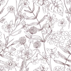 Outlined floral pattern with flowers. Seamless botanical background with wild herbs print. Handdrawn detailed vintage texture with herbal meadow plants. Hand-drawn vector illustration in retro style