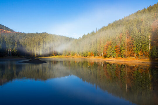 morning landscape at the mountain lake. beautiful autumnal nature scenery with fog. coniferous forest on the shore. synevyr national park, ukraine