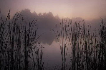 Fotobehang Slaapkamer Natura  © Marcin