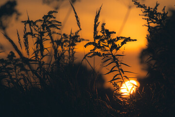 Obraz premium Natura