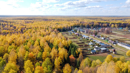 Autumn forest. Aerial photography. View from above