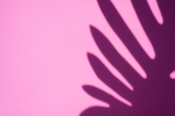 Fototapeta na wymiar Trending concept in natural materials with palm leaves shadow on pink background. Presentation with daylight. Natural blurred shade. Summer sunlight from herb. Abstract beautiful backdrop for text or