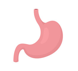 Vector illustration Stomach. Human internal organs icon isolated on white background.